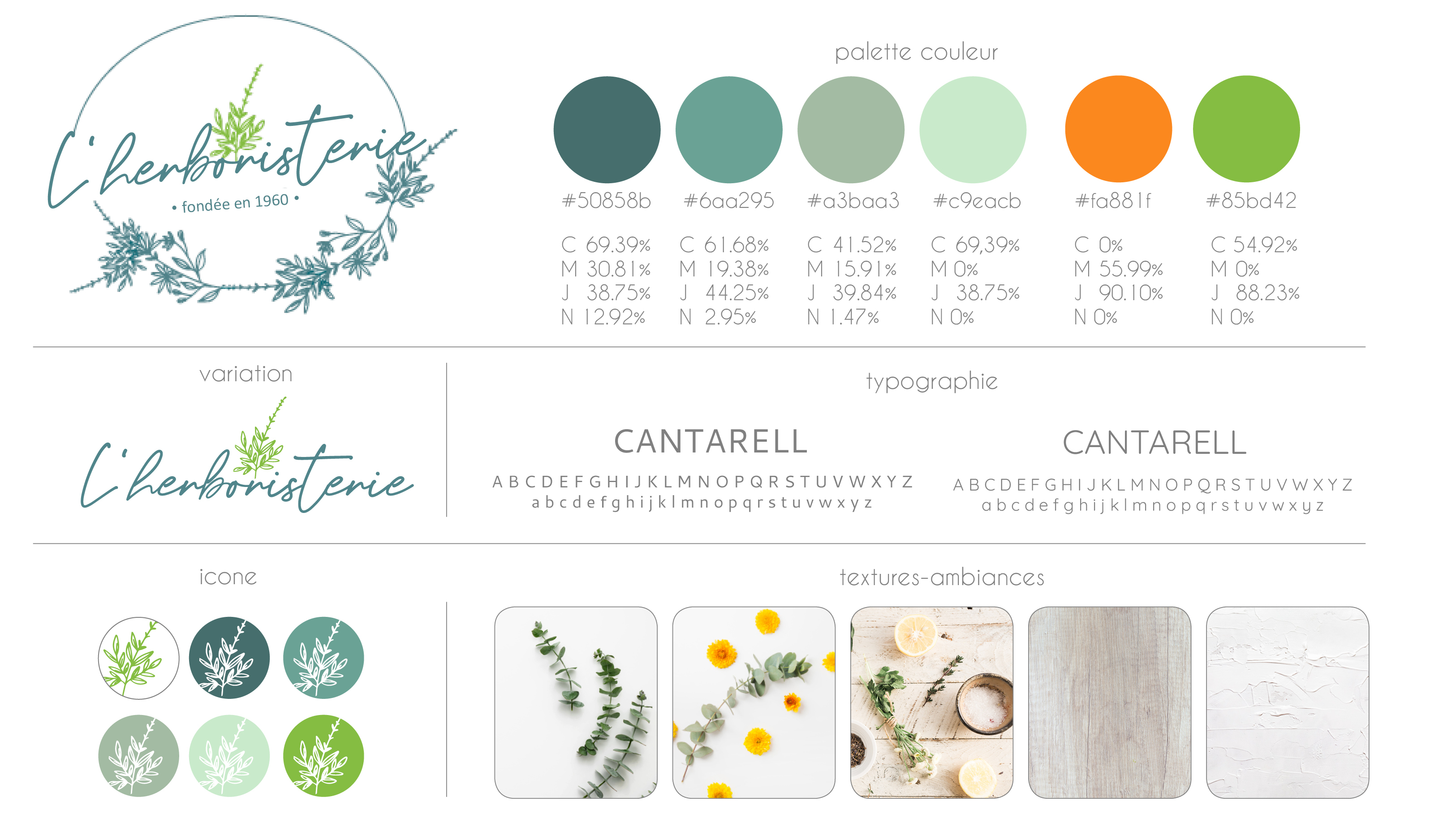 herboristerie-charte-graphique